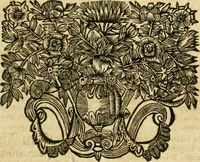 An illustration from De statu publico Europae novissimo tractatus, in quo unà cùm aliis nobilissimis atque utilissimis materiis juris publici, practici magis, quàm speculativi, illustres controversiae, praetensiones, judicia politica, praecedentiarum quaestiones & decisiones, tàm in comitiis imperii, quàm alibi agitatae, reperiuntur. Quibus insuper accesserunt, instar commentarii, paratitla de aurea bulla, recessibus imperii, ordinatione camerali, pace religiosa & profana, item capitulatione caesarea (1675)