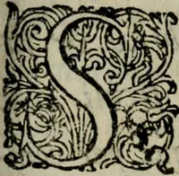 Picture 2 of 4 from De stolatæ virginitatis jure lucubratio academica (1680), leaf 6