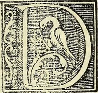 An illustration from De strigimagarvm demonvmq; : mirandis libri tres (1521)