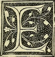 An illustration from De strigimagarvm demonvmq; : mirandis libri tres (1521)