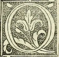 An illustration from De strigimagarvm demonvmq; : mirandis libri tres (1521)