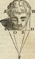 An illustration from Des vortreflichen Florentinischen Mahlers Lionardo da Vinci höchst-nützlicher Tractat von der Mahlerey : aus dem Italiänischen und Frantzöischen in das Teutsche übersetzet : auch nach dem Original mit vielen Kupfern und saubern Holtzschnitten versehen : und mit beygefügten Leben des Auctoris zum Druck befördert (1747)