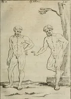 An illustration from Des vortreflichen Florentinischen Mahlers Lionardo da Vinci höchst-nützlicher Tractat von der Mahlerey : aus dem Italiänischen und Frantzöischen in das Teutsche übersetzet : auch nach dem Original mit vielen Kupfern und saubern Holtzschnitten versehen : und mit beygefügten Leben des Auctoris zum Druck befördert (1747)