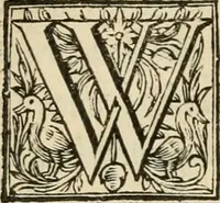 An illustration from Des wereldts proef-steen, ofte, De ydelheydt door de waerheyd beschuldight ende overtuyght van valscheydt (1643)