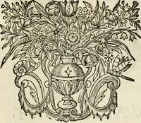 An illustration from Des wereldts proef-steen, ofte, De ydelheydt door de waerheyd beschuldight ende overtuyght van valscheydt (1643)