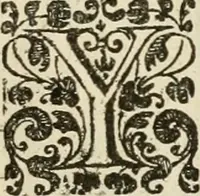 Picture 6 of 72 from Des wereldts proef-steen, ofte, De ydelheydt door de waerheyd beschuldight ende overtuyght van valscheydt (1643), leaf 36
