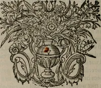An illustration from Des wereldts proef-steen ofte De ydelheydt door de waerheyd beschuldight ende overtuyght van valscheydt (1643)