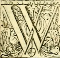 An illustration from Des wereldts proef-steen, ofte, De ydelheydt door de waerheyd beschuldight ende overtuyght van valscheydt (1643)