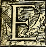 Picture 3 of 75 from Des wereldts proef-steen, ofte, De ydelheydt door de waerheyd beschuldight ende overtuyght van valscheydt (1643), leaf 8