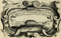 Picture 57 of 308 from De symbolis heroicis libri IX (1634), leaf 123