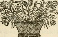 An illustration from De symbolis heroicis libri IX (1634)