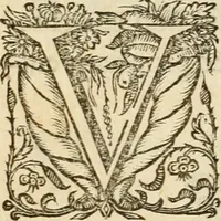 An illustration from De symbolis heroicis libri IX (1634)