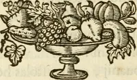 Picture 103 of 308 from De symbolis heroicis libri IX (1634), leaf 241