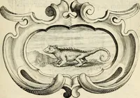 Picture 105 of 308 from De symbolis heroicis libri IX (1634), leaf 248