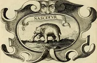 Picture 168 of 308 from De symbolis heroicis libri IX (1634), leaf 353