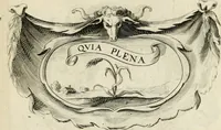 Picture 190 of 308 from De symbolis heroicis libri IX (1634), leaf 374