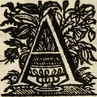 Picture 213 of 308 from De symbolis heroicis libri IX (1634), leaf 416