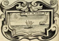 An illustration from De symbolis heroicis libri IX (1634)