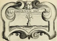 Picture 234 of 308 from De symbolis heroicis libri IX (1634), leaf 456