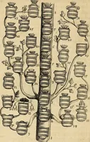Picture 13 of 308 from De symbolis heroicis libri IX (1634), leaf 51