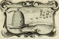An illustration from De symbolis heroicis libri IX (1634)