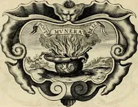 Picture 25 of 308 from De symbolis heroicis libri IX (1634), leaf 91