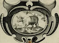 An illustration from De symbolis heroicis, libri IX (1634)
