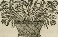 An illustration from De symbolis heroicis, libri IX (1634)