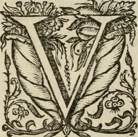 An illustration from De symbolis heroicis, libri IX (1634)