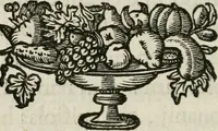 An illustration from De symbolis heroicis, libri IX (1634)