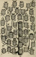 Picture 12 of 314 from De symbolis heroicis, libri IX (1634), leaf 41