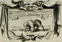 An illustration from De symbolis heroicis, libri IX (1634)