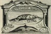 Picture 229 of 314 from De symbolis heroicis, libri IX (1634), leaf 447
