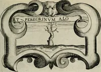 An illustration from De symbolis heroicis, libri IX (1634)