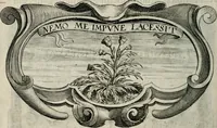 An illustration from De symbolis heroicis, libri IX (1634)