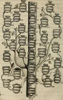 An illustration from De symbolis heroicis, libri IX (1634)