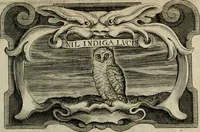 Picture 308 of 314 from De symbolis heroicis, libri IX (1634), leaf 550