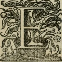 An illustration from De symbolis heroicis, libri IX (1634)