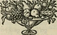 An illustration from De symbolis heroicis, libri IX (1634)