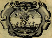 An illustration from De symbolis heroicis, libri IX (1634)