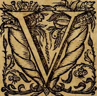 An illustration from De symbolis heroicis, libri IX (1634)