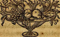 An illustration from De symbolis heroicis, libri IX (1634)
