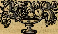 Picture 102 of 306 from De symbolis heroicis, libri IX (1634), leaf 239