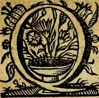 An illustration from De symbolis heroicis, libri IX (1634)