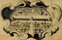Picture 208 of 306 from De symbolis heroicis, libri IX (1634), leaf 411