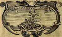 Picture 246 of 306 from De symbolis heroicis, libri IX (1634), leaf 479