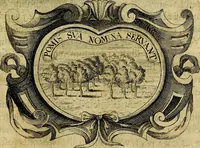 Picture 267 of 306 from De symbolis heroicis, libri IX (1634), leaf 506