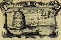 Picture 287 of 306 from De symbolis heroicis, libri IX (1634), leaf 528