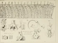 An illustration from Details of Gothic architecture (1890)