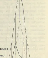 An illustration from Determinate evolution in the color-pattern of the lady-beetles (1910)